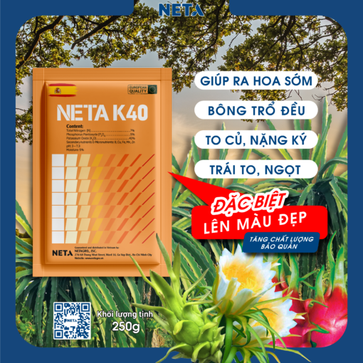 PHÂN BÓN NPK NETA K40