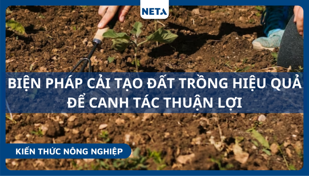 Cai-tao-dat-trong