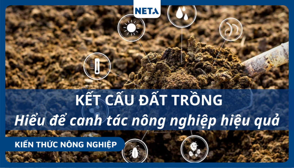 Ket-cau-dat-trong