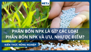 Phan-bon-npk