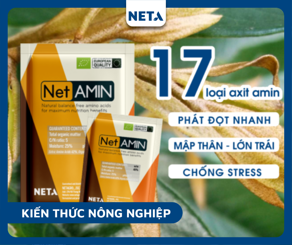 San-pham-netamin-cung-cap-amino-axit-doi-voi-cay-trong-hieu-qua