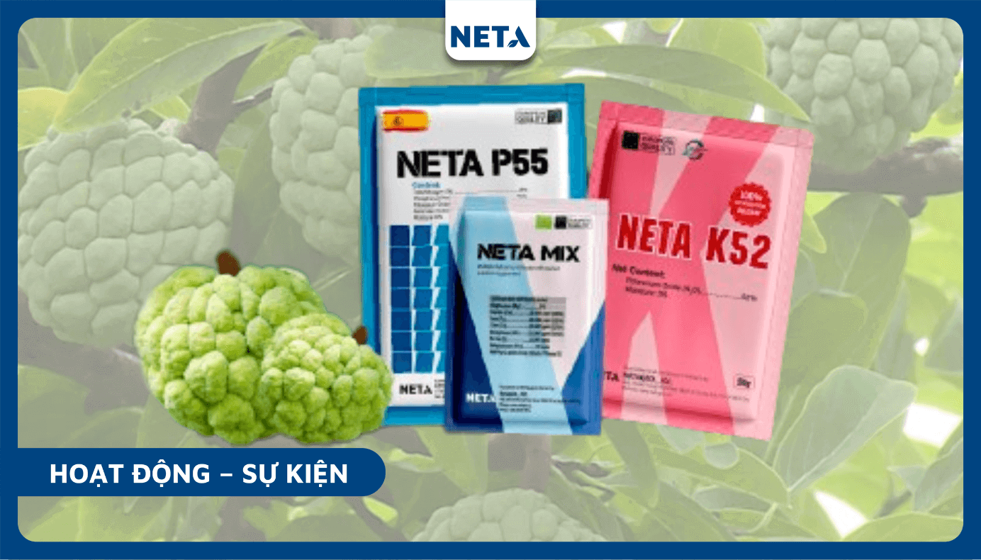 Bo-giai-phap-dinh-duong-neta-p55-neta-mix-neta-k52-hieu-qua-vuot-troi