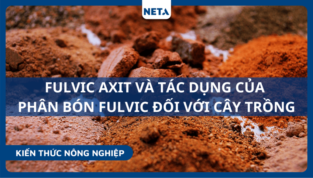 Fulvic-axit