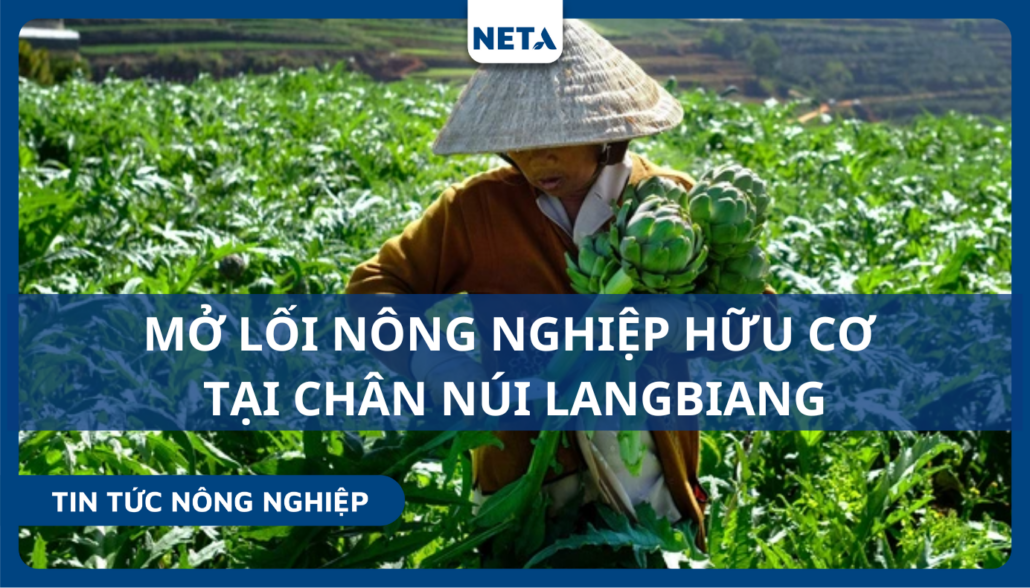 Mo-loi-nong-nghiep-huu-co