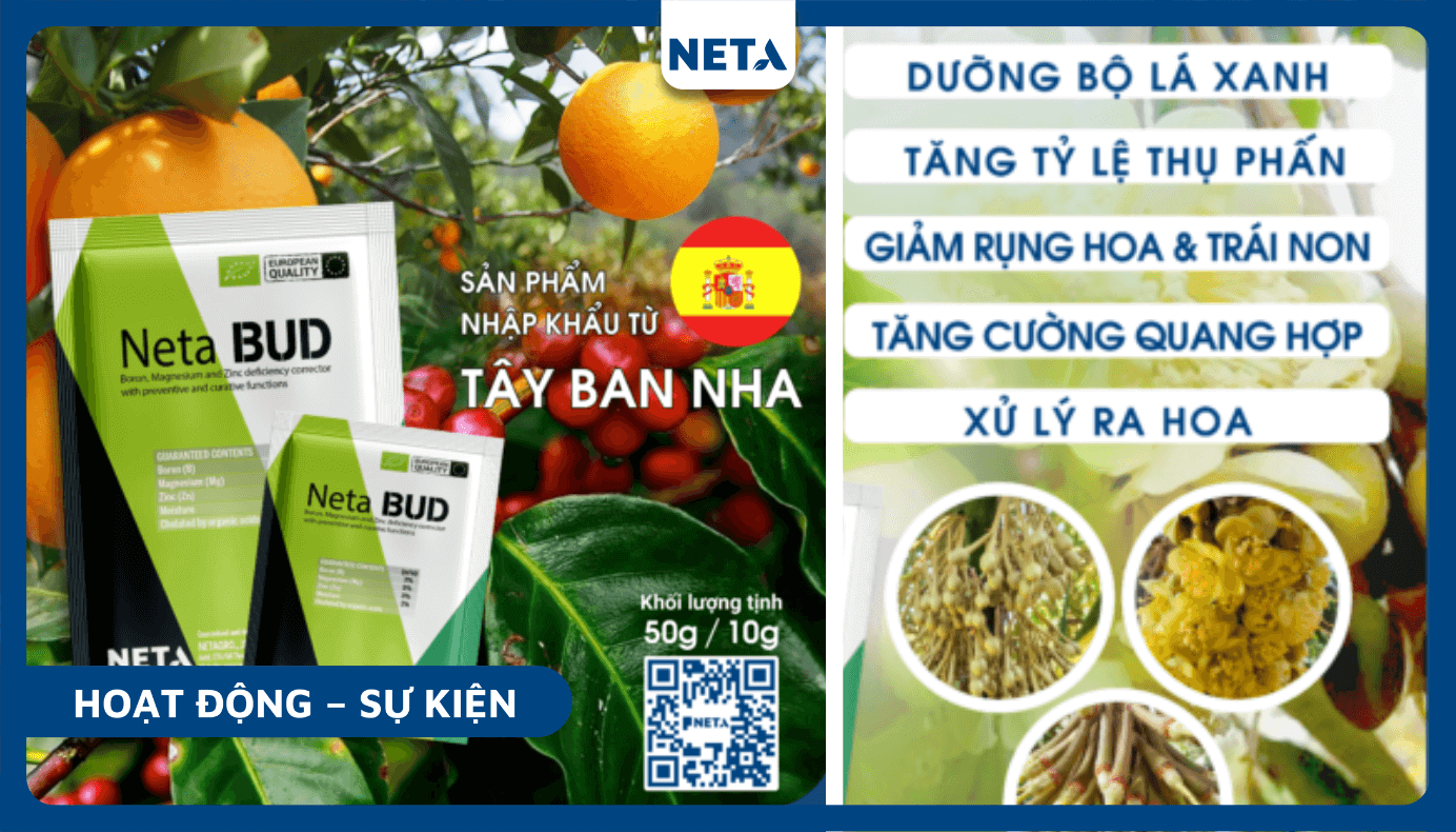 Neta-bud-giup-lam-nong-nhan-cung-netagro