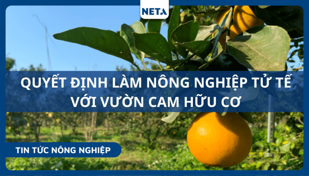 Nong-nghiep-tu-te