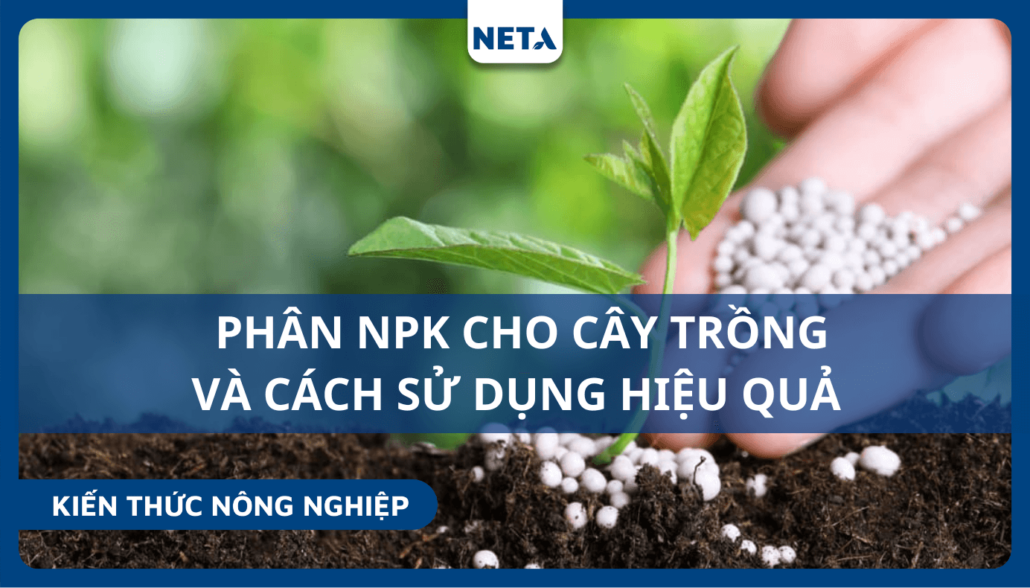 Phan-NPK-cho-cay-trong