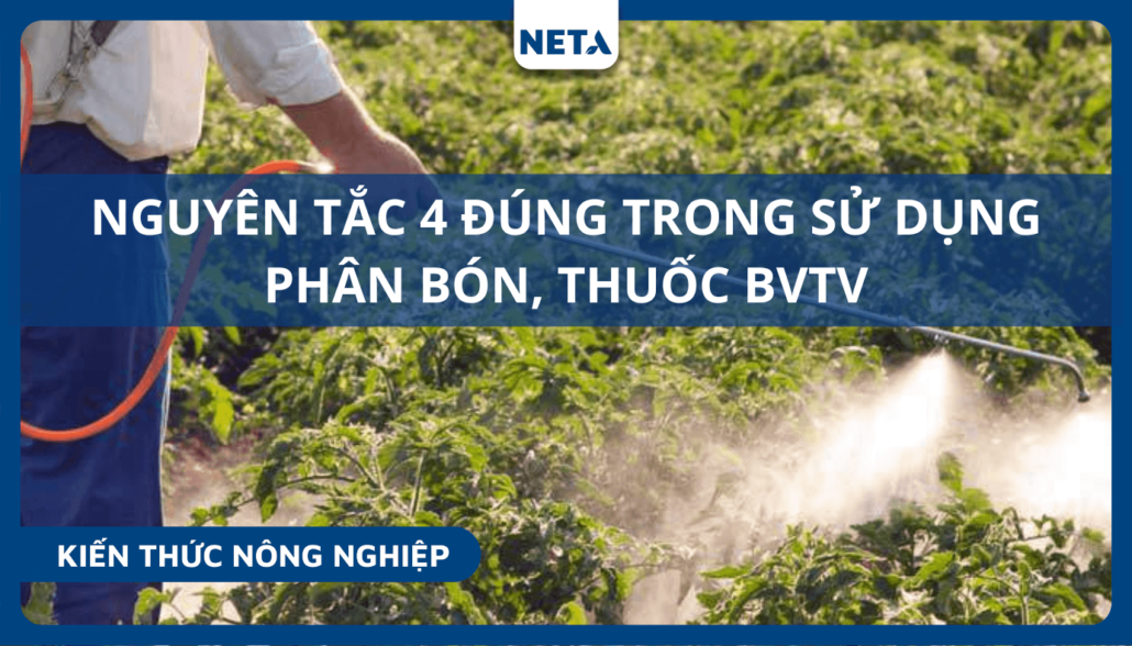 Nguyen-tac-4-dung