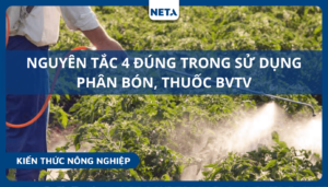 Nguyen-tac-4-dung