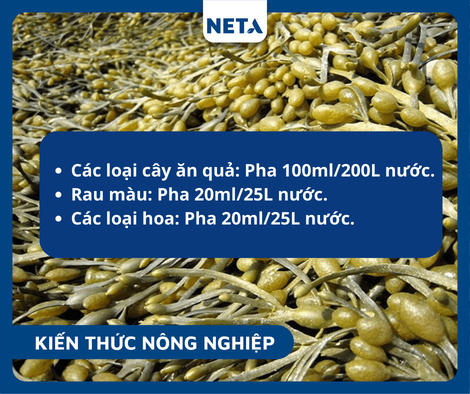 Nguyen-tac-4-dung-nha-nong-can-su-dung-dung-lieu-luong-duoc-khuyen-khich